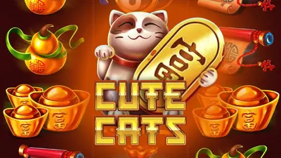 cute cats inbet1