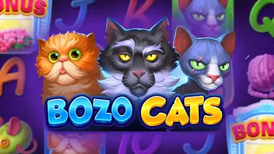 bozo cats playson1
